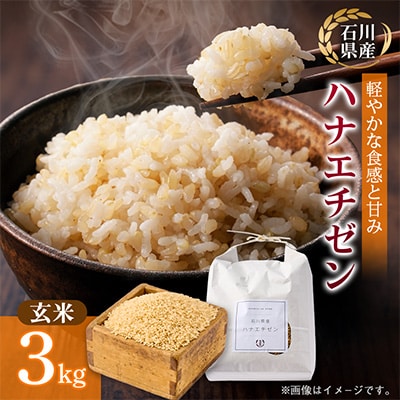 【軽やかな甘みと食べやすさ】石川県野々市市産ハナエチゼン令和7年産玄米 3kg