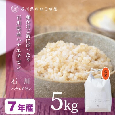 【家庭料理にぴったりの旨み】石川県産ハナエチゼン令和7年産玄米 5kg