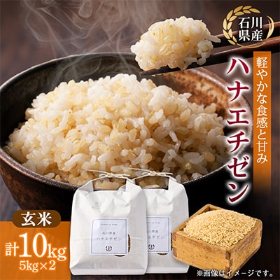 【さっぱりとした食感と甘み】石川県野々市市産ハナエチゼン 令和7年産玄米10kg(5kg×2袋)