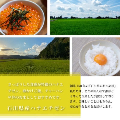 【毎月定期便】【軽やかな甘みと食べやすさ】石川県野々市市産ハナエチゼン 玄米 3kg全3回