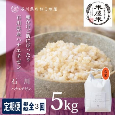 【毎月定期便】【家庭料理にぴったりの旨み】石川県野々市市産ハナエチゼン玄米 5kg全3回