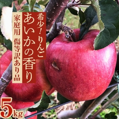 2025年【傷等訳あり】甘い!希少!りんご【あいかの香り】約5kg　信州のりんご