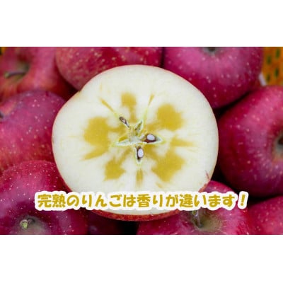 真田の里　上田市産　サンふじりんご　5kg　