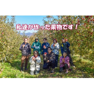 真田の里　上田市産　サンふじりんご　5kg　