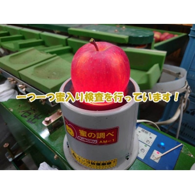 真田の里　上田市産　サンふじりんご　5kg　