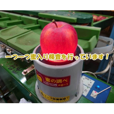 【長野県産】ご家庭用サンふじりんご約10kg