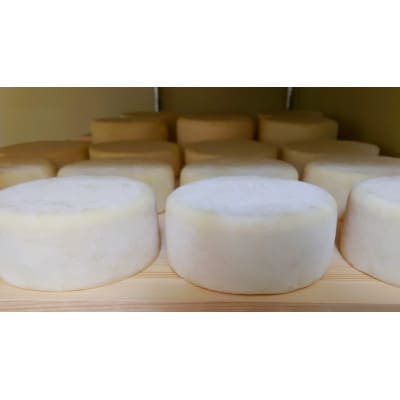 ワインや日本酒のお供に【長野県産】3種の山羊のチーズ詰め合わせ
