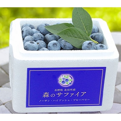 森のサファイア 大粒ブルーベリー 生果実 1kg(500g×2パック)Lサイズ