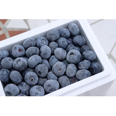 冷凍ブルーベリー「森のサファイア」大粒(L) 　500g