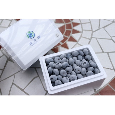 冷凍ブルーベリー「森のサファイア」大粒(L) 　500g