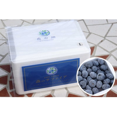 冷凍ブルーベリー「森のサファイア」大粒(L) 　500g