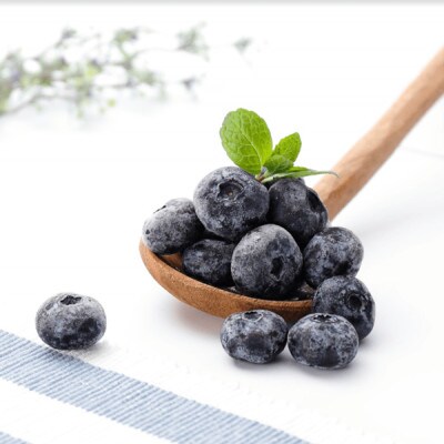冷凍ブルーベリー「森のサファイア」大粒(L) 　500g
