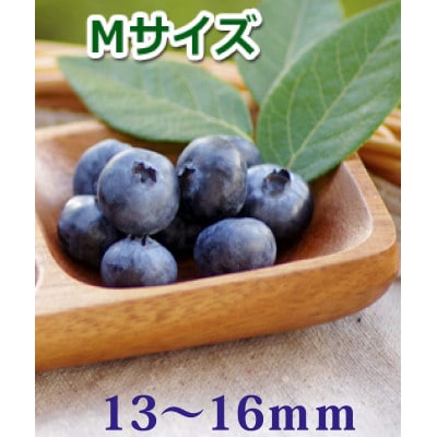 「森のサファイア」中粒生ブルーベリー(M)500g