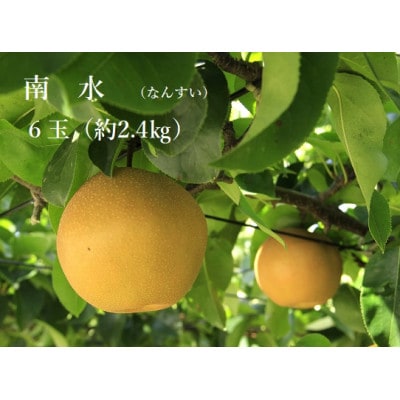 長野県生まれのジューシーな赤梨 南水(なんすい)南水　6玉(約2.4kg)