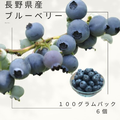 長野県産ブルーベリー　100g×6パック　生でも自家製ジャムでもどうぞ!