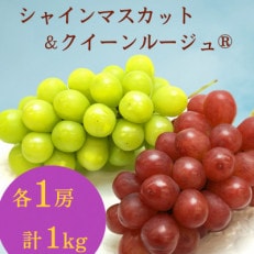 長野県産シャインマスカット・クイーンルージュ(R) 1房ずつの詰め合わせ 