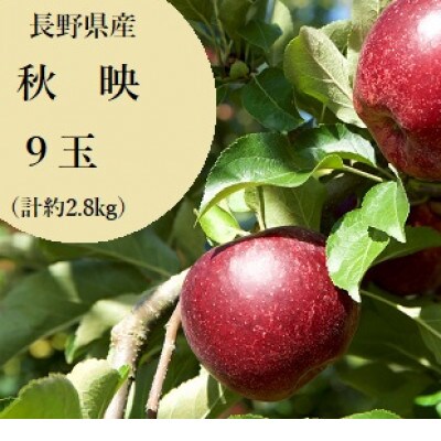 長野県産濃い赤色のりんご　秋映　9玉(約2.8kg)