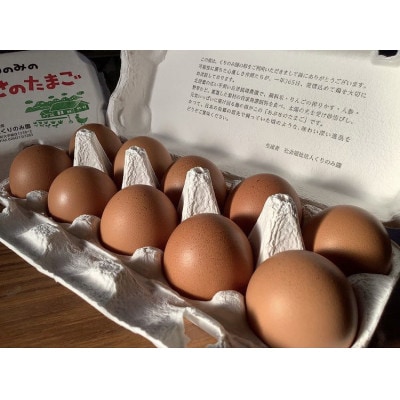 平飼いおぶせのたまご 10個入×2パック