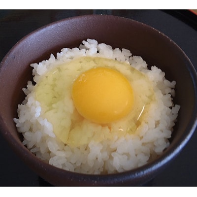 平飼いおぶせのたまご 10個入×2パック