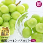 【さとふる限定】【数量限定】2kg箱 厳選シャインマスカット 長野県産