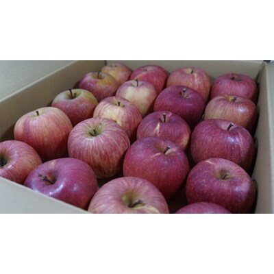 サンふじ 家庭用 約10kg 26 36玉 お礼品詳細 ふるさと納税なら さとふる