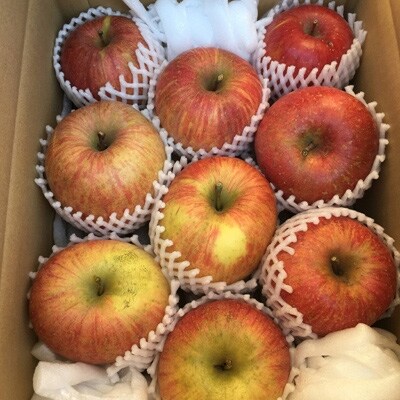 サンふじ 訳あり 約10kg 26 36玉 お礼品詳細 ふるさと納税なら さとふる