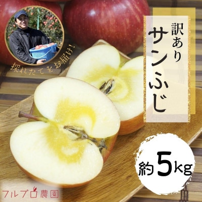 家庭用 葉とらず 信州りんご サンふじ 約5kg 長野県産