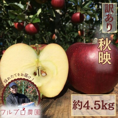 家庭用 葉とらず 信州りんご 秋映 約4.5kg 長野県産