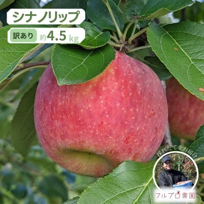 【家庭用】シナノリップ 約4.5kg(13-20玉)甘くてジューシーな夏りんご