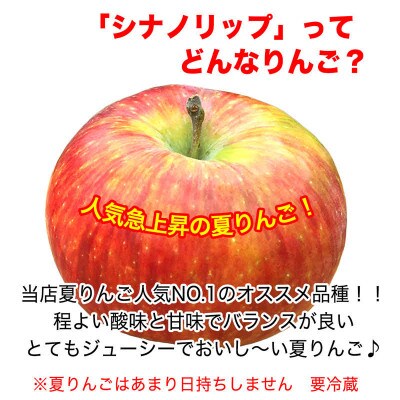 【家庭用】シナノリップ 約4.5kg(13-20玉)甘くてジューシーな夏りんご