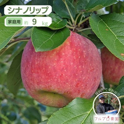 【家庭用】シナノリップ 約9kg(26-40玉)甘くてジューシーな夏りんご