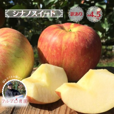 家庭用 葉とらず 信州りんご シナノスイート 約4.5kg 長野県産