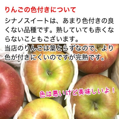 家庭用 葉とらず 信州りんご シナノスイート 約4.5kg 長野県産