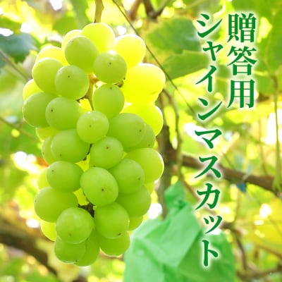 【長野県産】贈答用シャインマスカット1kg