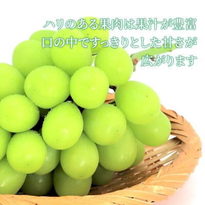 【長野県産】贈答用シャインマスカット1kg