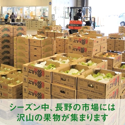 厳選シャインマスカット2kg(3房～4房)【長野県産】