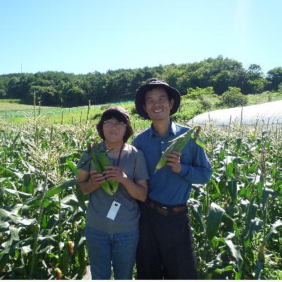 知る人ぞ知る!人気の樋沢(ひざわ)産の生とうもろこし 約4キロ(10～13本)