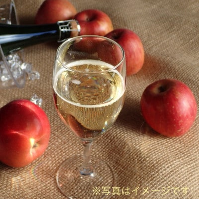 ナガノシードル辛口3本セット　POMGE