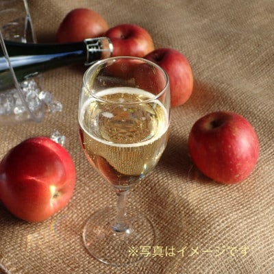ナガノシードル辛口4本セット　POMGE