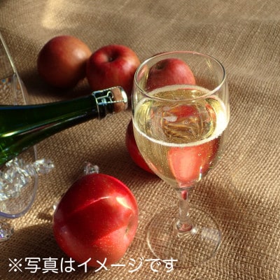 ナガノシードル辛口3本セット　POMGE