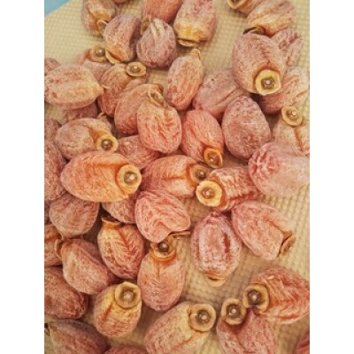 【年内発送】市田柿　特秀品　200g×2袋