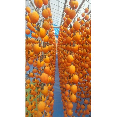 【年内発送】市田柿　特秀品　200g×4袋