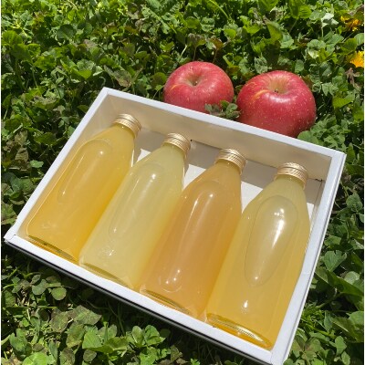 信州産 四季の味が楽しめる! りんごジュース