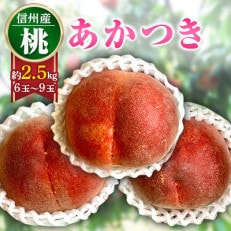 旬の味をお届け!信州産 桃【あかつき】6玉～9玉(約2.5キロ)