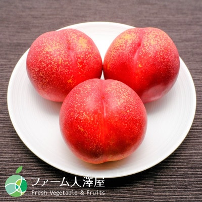 長野県産　サマークリスタル　ネクタリン【贈答用　約3kg　18～24玉】