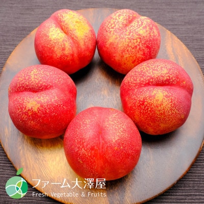 長野県産　サマークリスタル　ネクタリン【贈答用　約3kg　18～24玉】