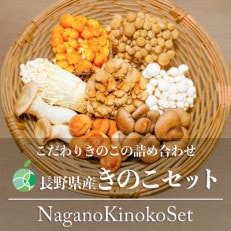 長野県産きのこセット 8種類のきのこ 各1パック【計8パック 約1kg】