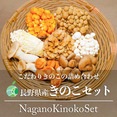 長野県産きのこセット　8種類のきのこ　各1パック【計8パック　約1kg】