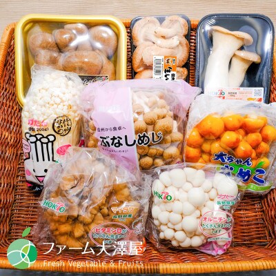 長野県産きのこセット　8種類のきのこ　各1パック【計8パック　約1kg】