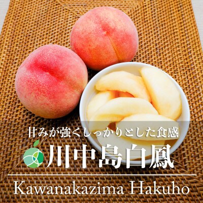 長野県産もも　川中島白鳳　贈答用　秀　約5kg(15~24玉)